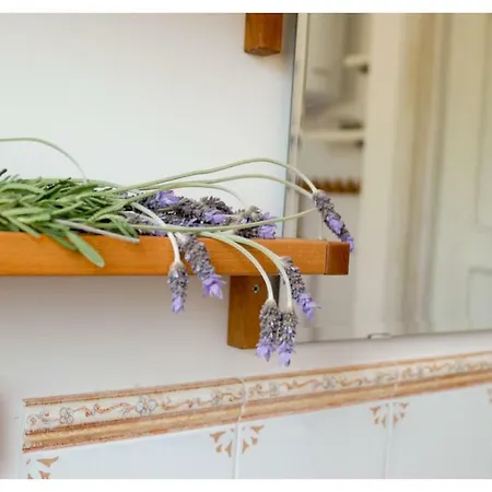 Lavanda