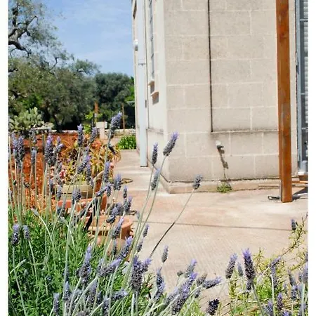度假居 Lavanda 圣维托诺曼