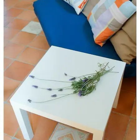 Lavanda 圣维托诺曼